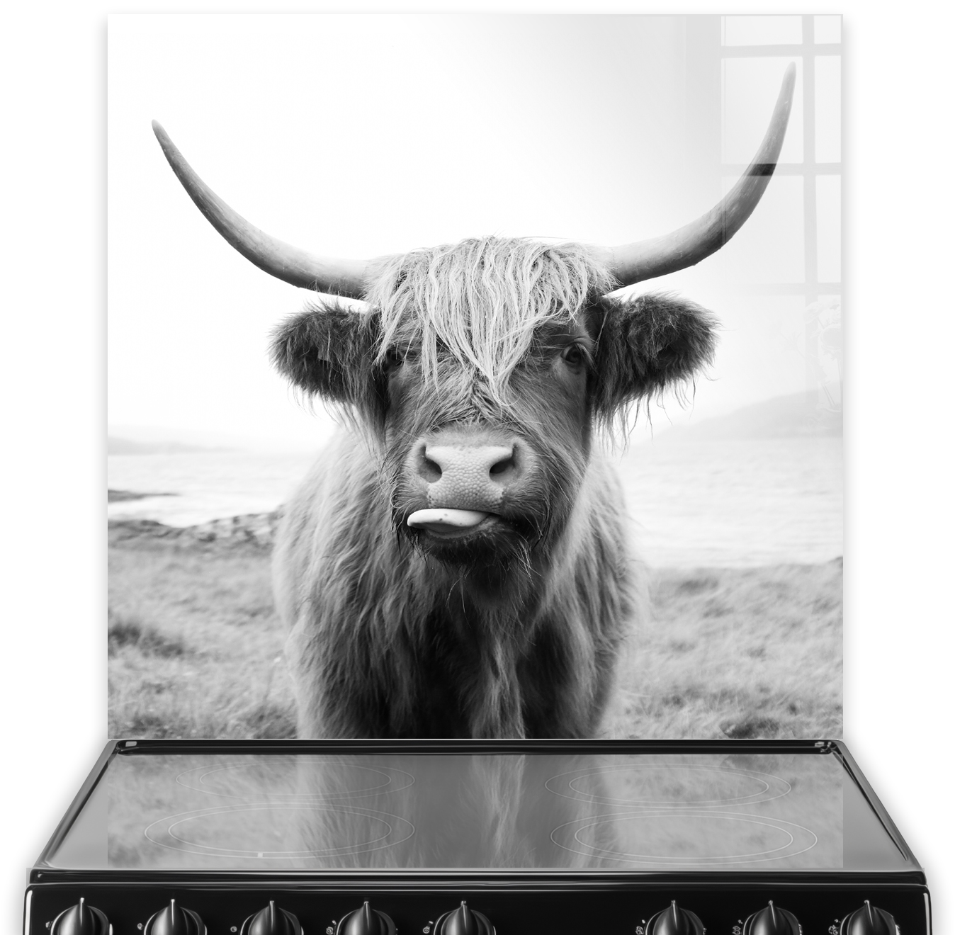 Cheeky Cow Printed Splashback | VividSplashbacks