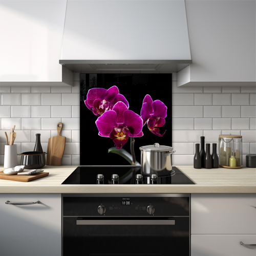 Purple Doritaenopsis flower on a black background.