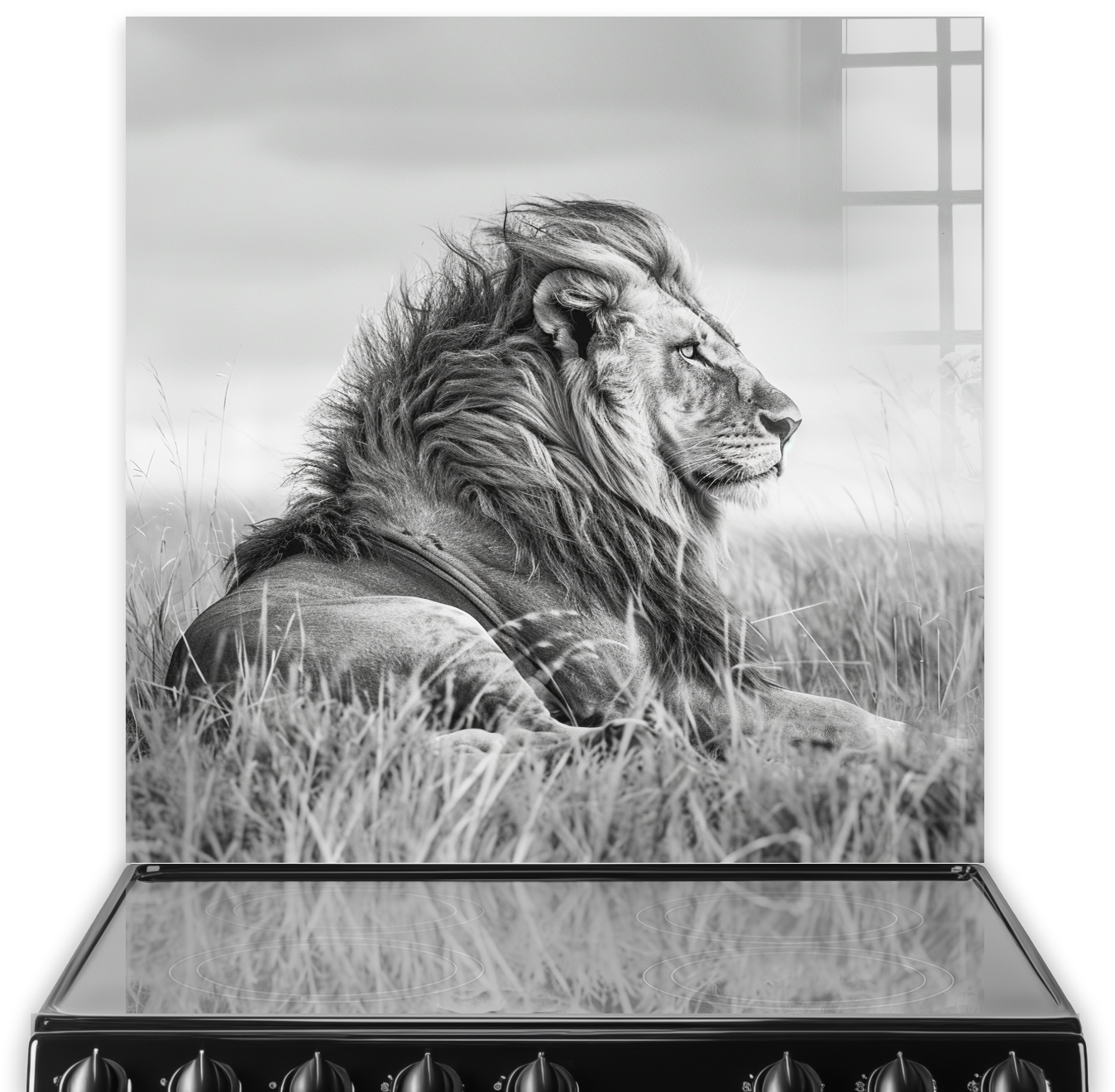 Black and white lion splashback art for kitchen featuring regal lion in grassland