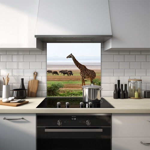 Giraffe and buffalo on mud plain glass splashback.