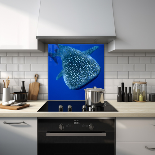 Large whale shark navigating through dark blue waters glass splashback.