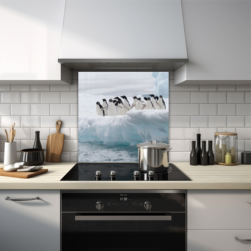 Colony of penguins on the edge of ice in Arctic climate glass splashback.