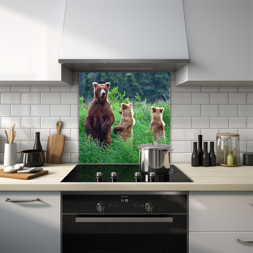 3 bears standing in long grass plain glass splashback.