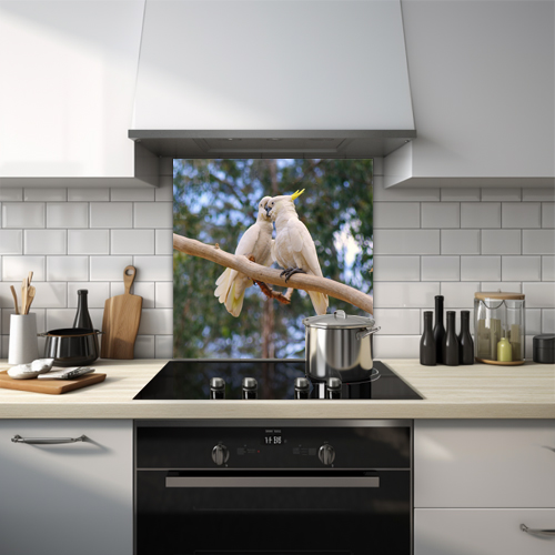 Glass splashback featuring two yellow-crested cockatoos on a branch facing each other.