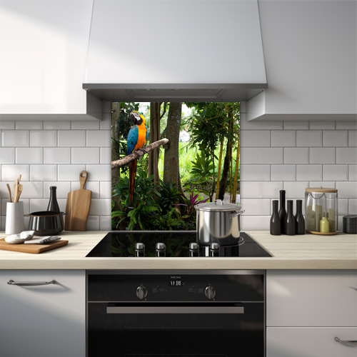 Parrot glass splashback depicting a blue-winged, orange-chested bird in a jungle setting.