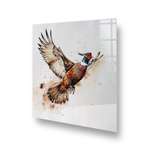 Vibrant pheasant in flight kitchen splashback art with rich colours and watercolour effects. Side View