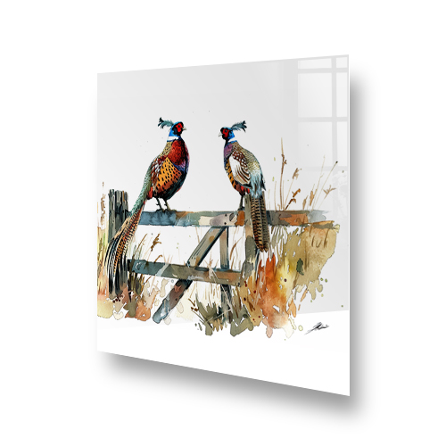 Two colourful pheasants on a fence printed on a kitchen splashback Side View