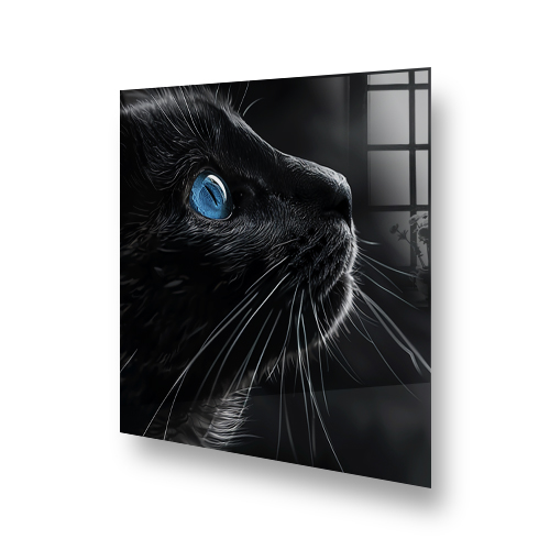 Close-up of a black cat with striking blue eyes on a kitchen splashback Side View