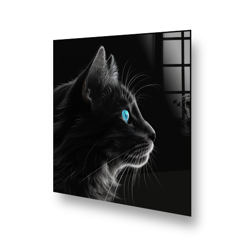 Black cat with striking blue eyes on kitchen splashback art Side View