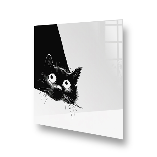 Black and white curious cat design on kitchen splashback Side View