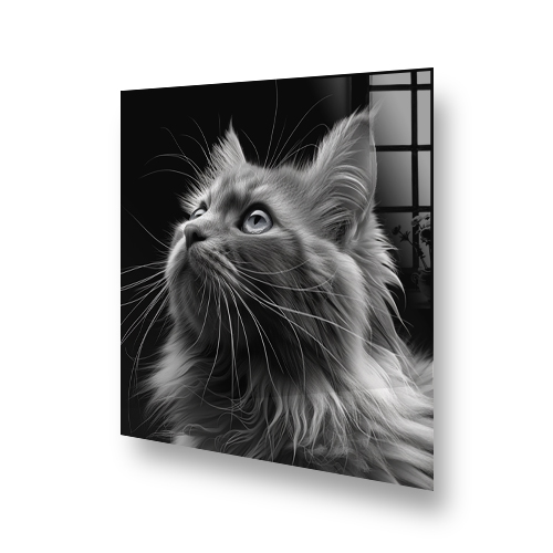 Black and white long-haired cat art on kitchen splashback Side View