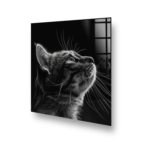 Monochromatic cat portrait printed on kitchen splashback Side View