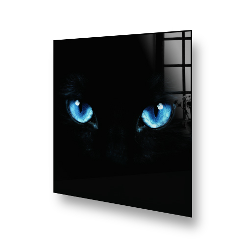 Cat Blue Gaze printed on kitchen splashback with intense cat eyes Side View