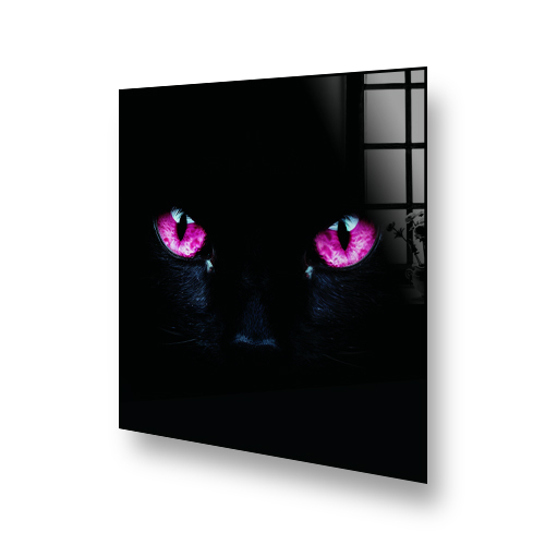 Close-up of a black cats face with vibrant pink eyes on a kitchen splashback. Side View