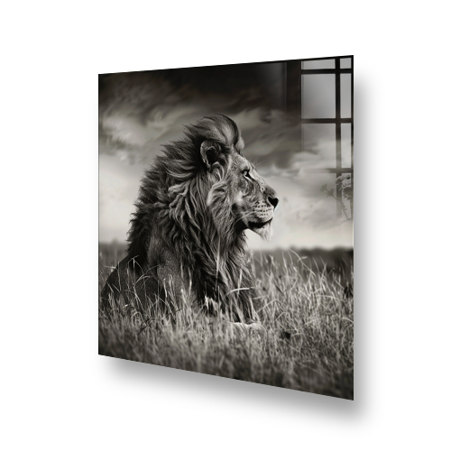 Monochrome lion splashback art above a stove, depicting "Leo" in shades of grey Side View