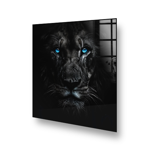 "Blue Stare" lion design on kitchen splashback with blue eyes and black mane Side View