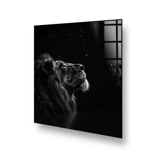 Black and white lion splashback art depicting the Stargazing Lion admiring the night sky Side View
