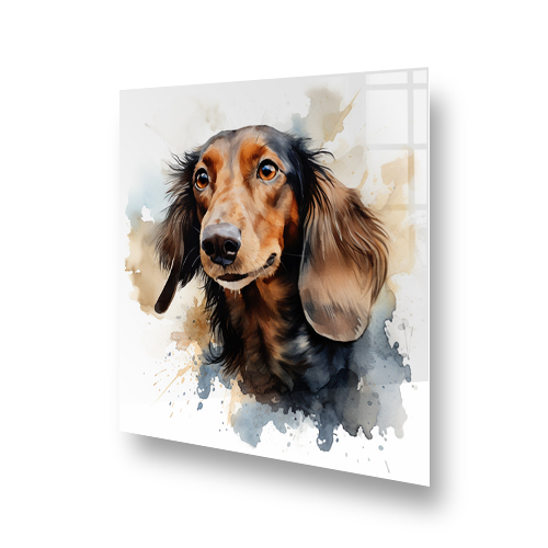 Coco the cute long-haired Dachshund on printed kitchen splashback featuring warm and cool watercolor splashes Side View