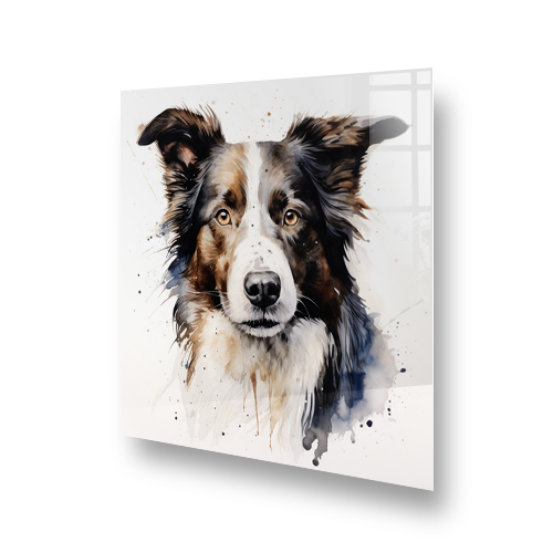 Printed Border Collie Splashback with Artistic Splatter Design Side View