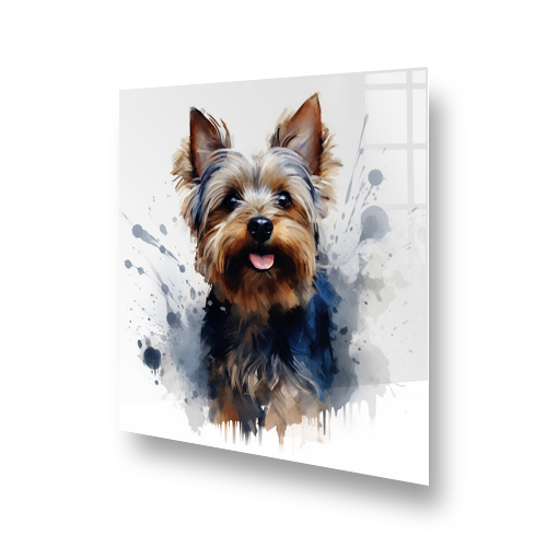 Adorable painted Yorkshire Terrier, Dolly, on kitchen splashback with abstract watercolour splashes in background Side View