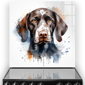 Artistic printed splashback of a German Short Haired Pointer in brown and beige with blue and orange splashes of colour
