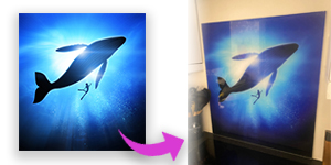 A custom designed splashback with customer swimming with whale